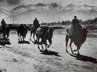 Прибытие каравана из Киргизии