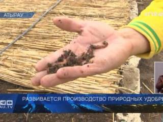 В Казахстане развивается производство природных удобрений