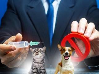 Принудительное чипирование домашних животных – лоббирование интересов частной компании, заявляют эксперты