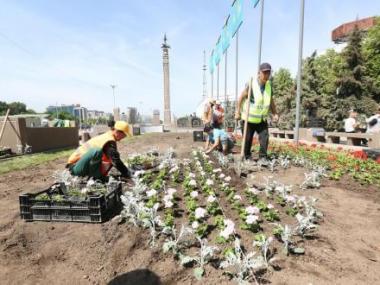 159 тысяч квадратных метров засадят цветами в Алматы