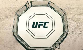 2 казахстанца дебютируют в UFC на турнире с участием Хабиба Нурмагомедова