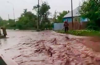 Два села в Алматинской области затопило после обильных дождей