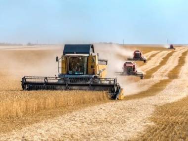 Казахстан в этом году ждёт богатый урожай