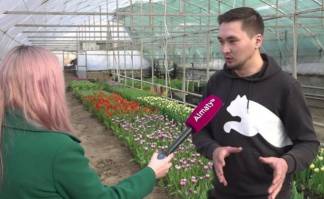 Алматинец хочет создать новые сорта тюльпанов и назвать их в честь знаменитых казахстанцев