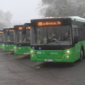 В Алматы на линию BRT вышли новые автобусы-гармошки