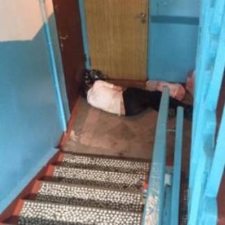 Пожилой мужчина два дня ночевал в подъезде в Алматы