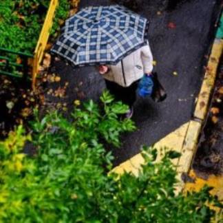 19 сентября в Казахстане сохраняются дожди с грозами
