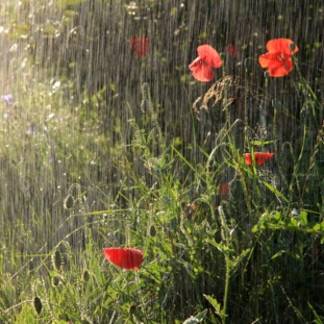 27 июля в Казахстане пройдут дожди с грозами
