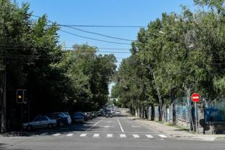 Алматинцы хотят видеть улицы мегаполиса зелеными и с фонтанами