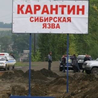 В Павлодарской области мужчина умер от сибирской язвы