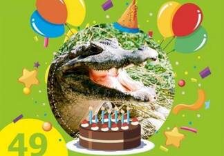 Крокодиловый кайман Зина празднует день рождения в Алматинском зоопарке