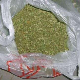Полицейские изъяли около двух килограмм марихуаны у жителя Актюбинской области