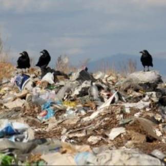 В Алмалинском районе Алматы экологи обнаружили свалку