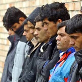 На казахстанско-узбекской границе за сутки задержаны 28 нелегалов