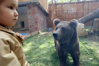 В Алматинском зоопарке в минувшие выходные открылось несколько новых объектов