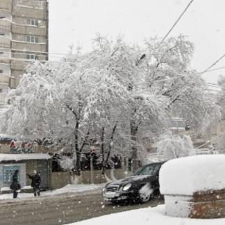 Какая погода ожидает жителей Алматы и области в праздничные дни