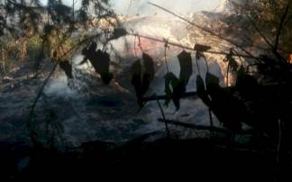 Крупный пожар потушили в горах Алматы