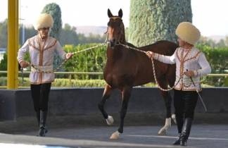 Президенту Казахстана подарили в Ашхабаде ахалтекинского коня