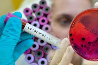 Где, как и по какой цене можно пройти тесты на наличие коронавирусной инфекции