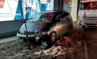Пьяный водитель повредил посаженный возле магазина Sulpak в Алматы дуб