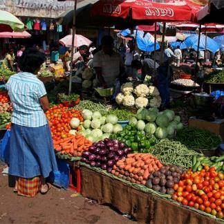 Алматинцы рискуют, покупая овощи и фрукты на улице