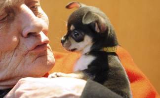 Собака спасла жизнь хозяину во время сердечного приступа