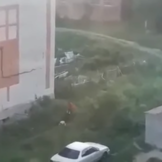 Жители Риддера сняли на видео, как мужчина пытается закопать труп