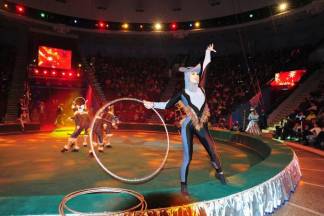 Цирк, зоопарк и театр реконструируют в Алматы