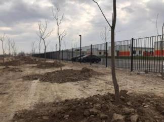 В Алматы высадили 500 деревьев
