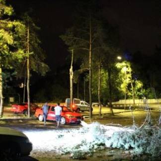 Упавшие деревья повредили машины в Алматы