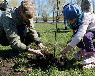 Запущено мобильное приложение Almtree с информацией о деревьях Алматы