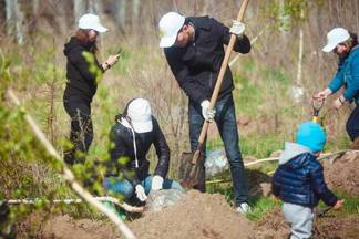 Активисты посадили саженцы березы на «Медеу»