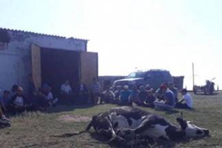 Жители станции Айса помолились за избавление страны от пандемии и принесли в жертву корову