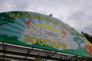 Зоопарк Алматы вышел на новый уровень международного сотрудничества